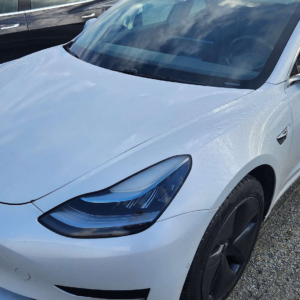 Tesla Model 3 2019 – Elétrico – Branco leilao 24H